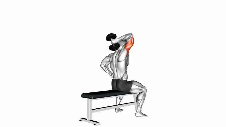 Thumbnail for the video of exercise: Extensão de tríceps com halteres e um braço