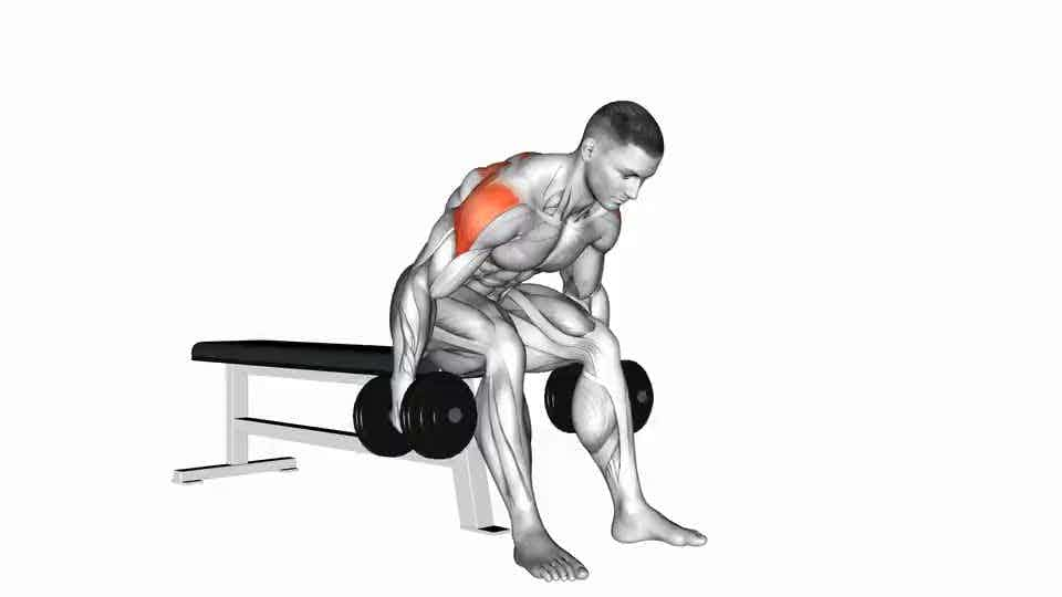 Thumbnail for the video of exercise: Dumbbell Rear Fly