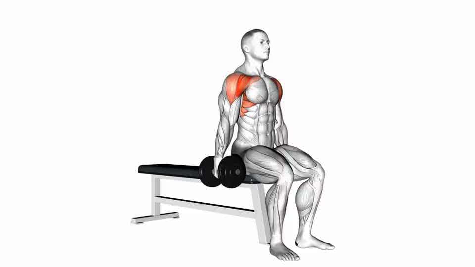 Thumbnail for the video of exercise: Dumbbell Seated Alternate Front Raise