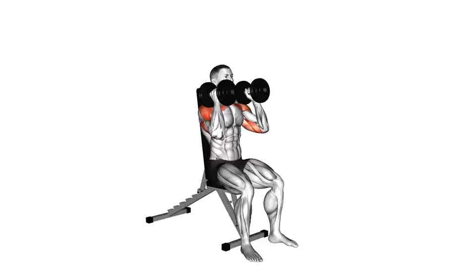 Thumbnail for the video of exercise: Preas Malartach ina suí le Dumbbell