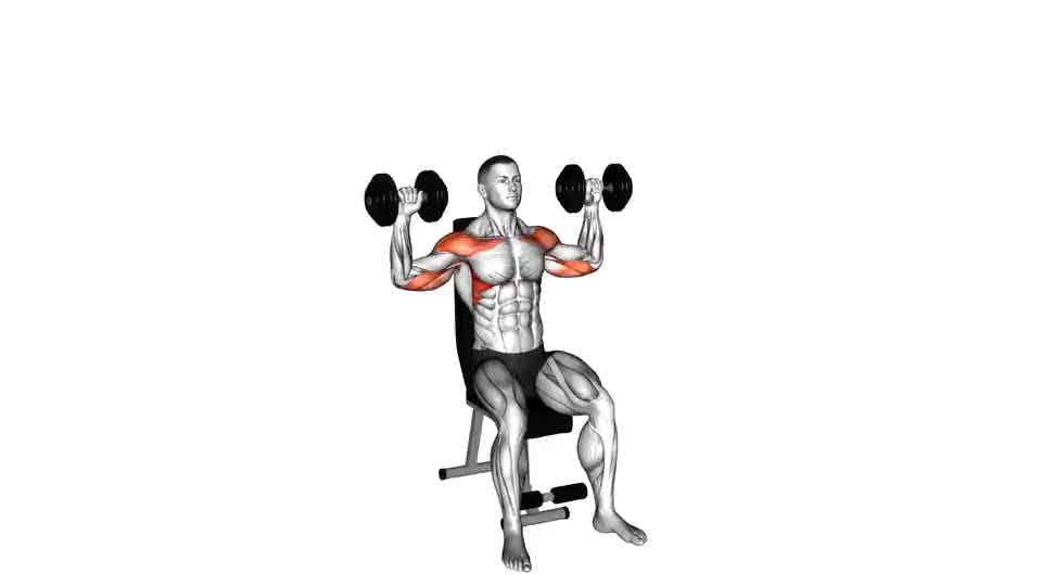 Thumbnail for the video of exercise: Seated Shoulder Press
