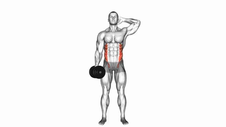 Dumbbell side bend, Exercise Videos & Guides