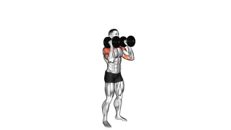 Thumbnail for the video of exercise: Dumbbell Standing Palms In Press