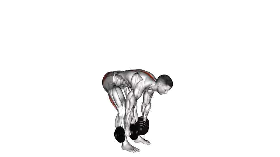 Thumbnail for the video of exercise: Dumbbell Straight Leg Deadlift