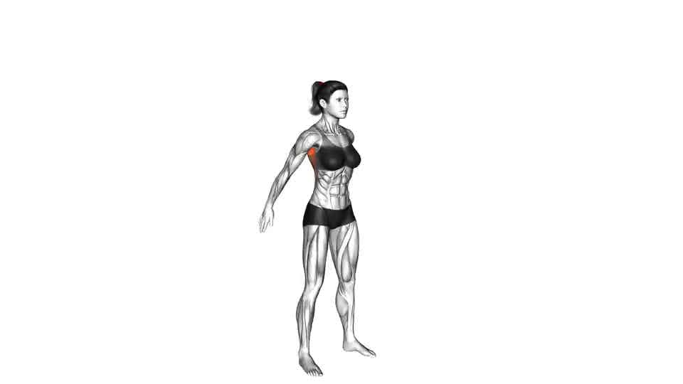 Thumbnail for the video of exercise: ተለዋዋጭ የኋላ መዘርጋት