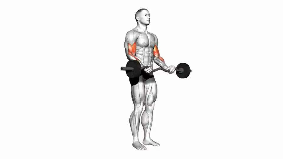 Thumbnail for the video of exercise: EZ Barbell Curl