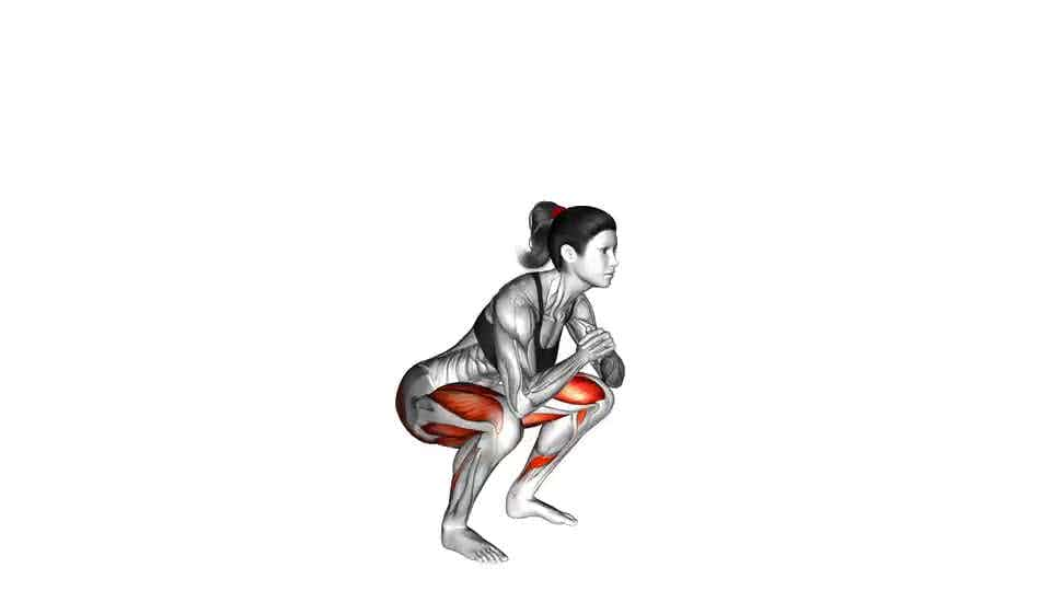 Thumbnail for the video of exercise: Frog Squat