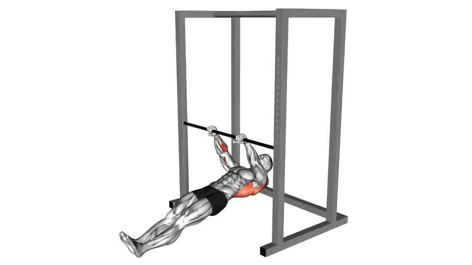 Thumbnail for the video of exercise: Inverted Row