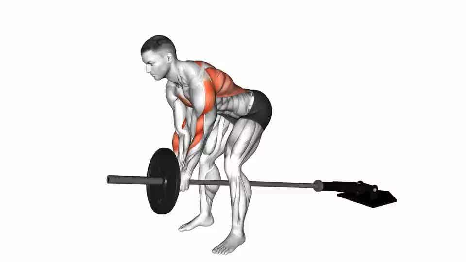 Thumbnail for the video of exercise: Lever Bent over Row