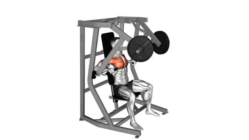 Thumbnail for the video of exercise: Lever Chest Press