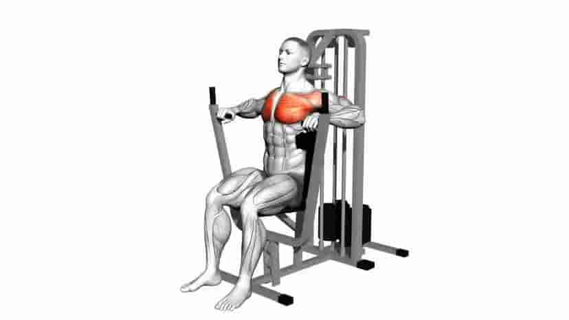 Lever Chest Press - Video Guide 