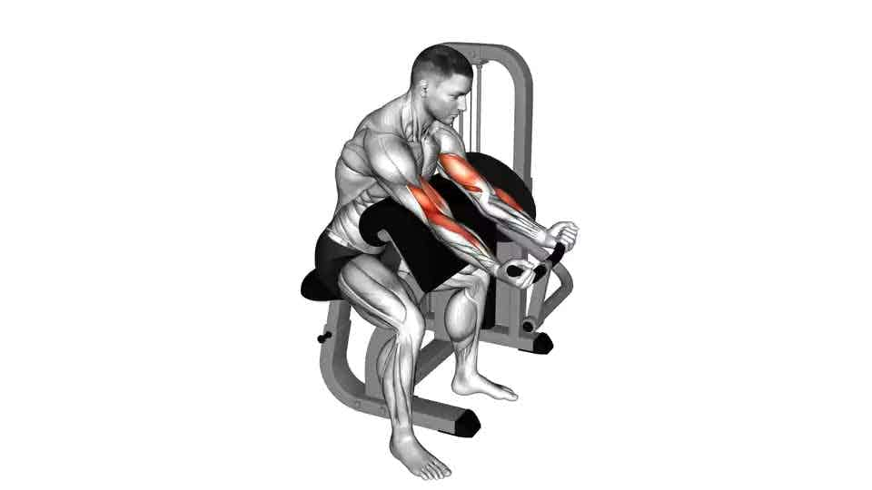 Thumbnail for the video of exercise: Lever Preacher Curl