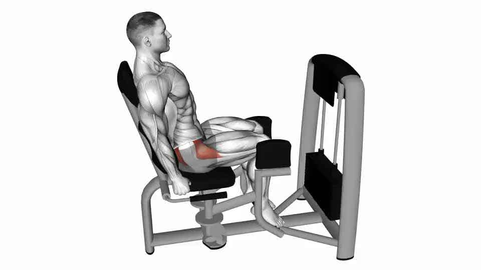 Thumbnail for the video of exercise: Lever Seated Hip Abduction