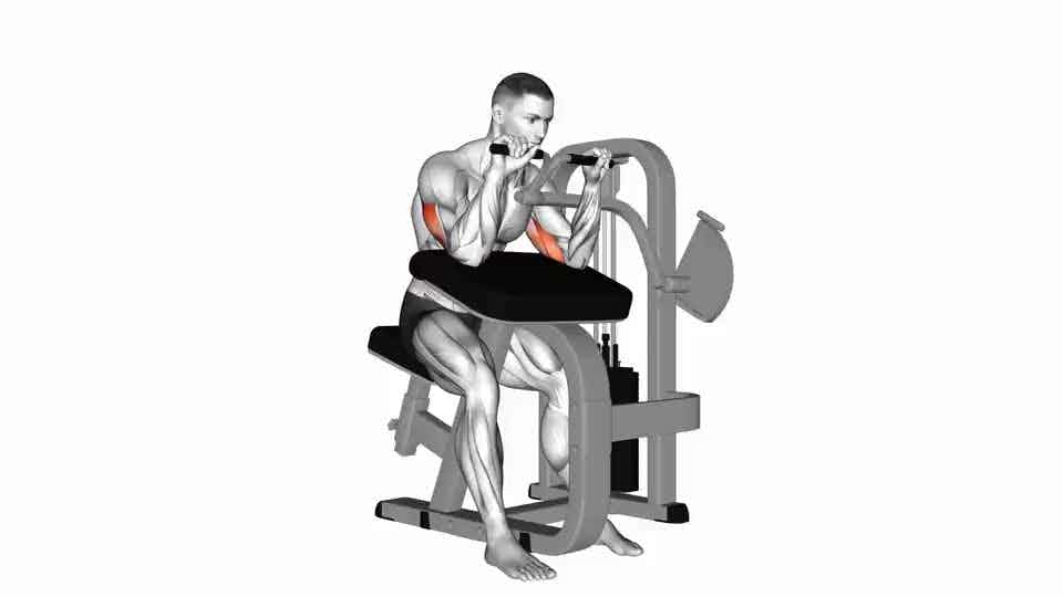 Seated Triceps Extension Machine Exercise Demonstration