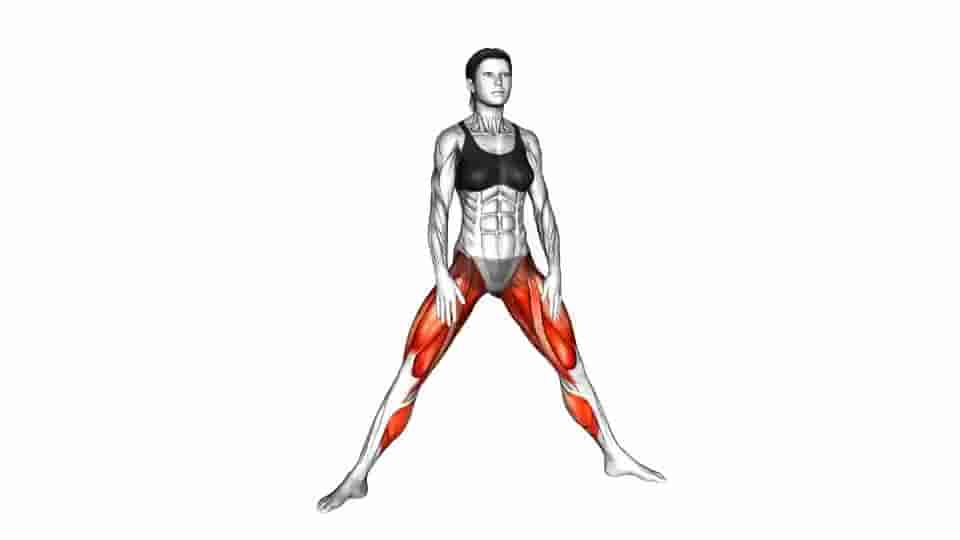 Thumbnail for the video of exercise: Plyo Side Lunge Stretch