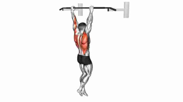 Pull-up - Video Guide | Lyfta