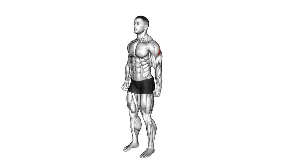 Thumbnail for the video of exercise: Rear Deltoid Stretch