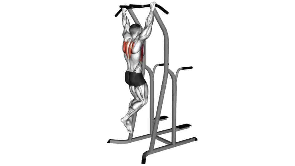 Thumbnail for the video of exercise: Scapular Pull-Up