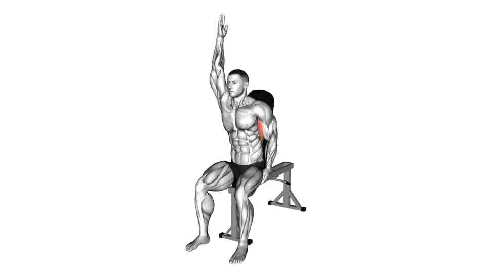 Thumbnail for the video of exercise: Seated Lower Back Stretch