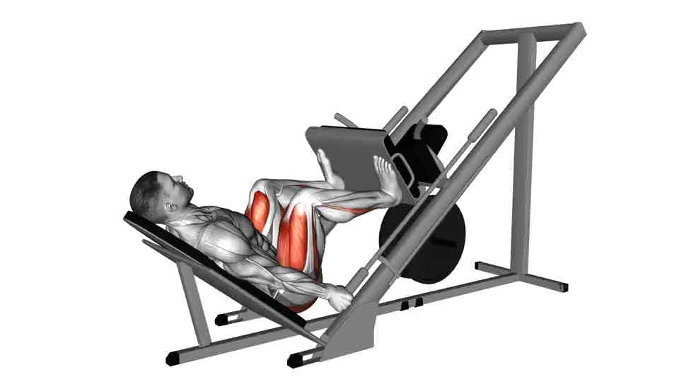 Thumbnail for the video of exercise: Sled 45° Leg Wide Press