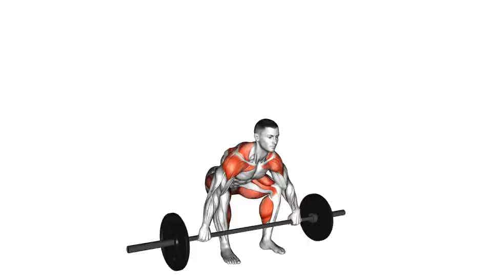 Thumbnail for the video of exercise: Snatch Pull