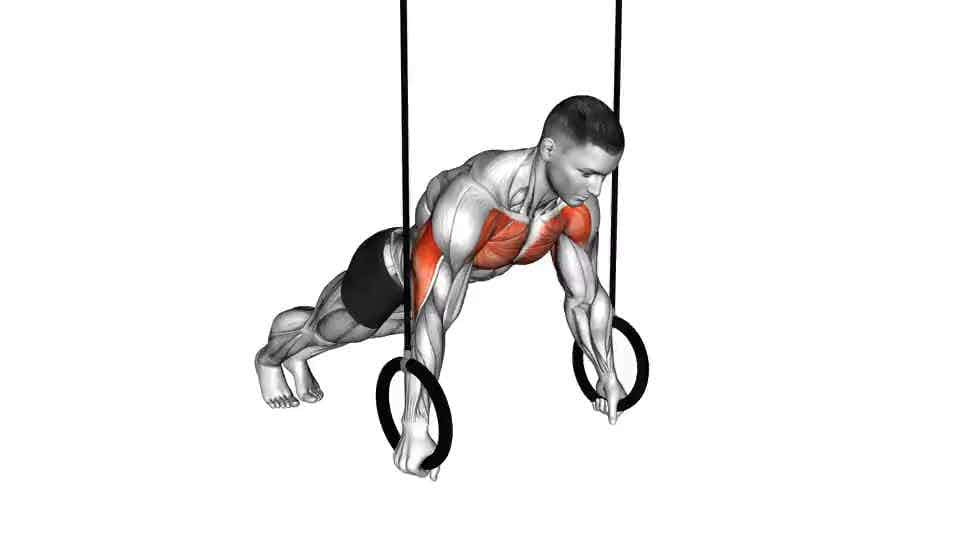 Thumbnail for the video of exercise: Suspended Push-Up