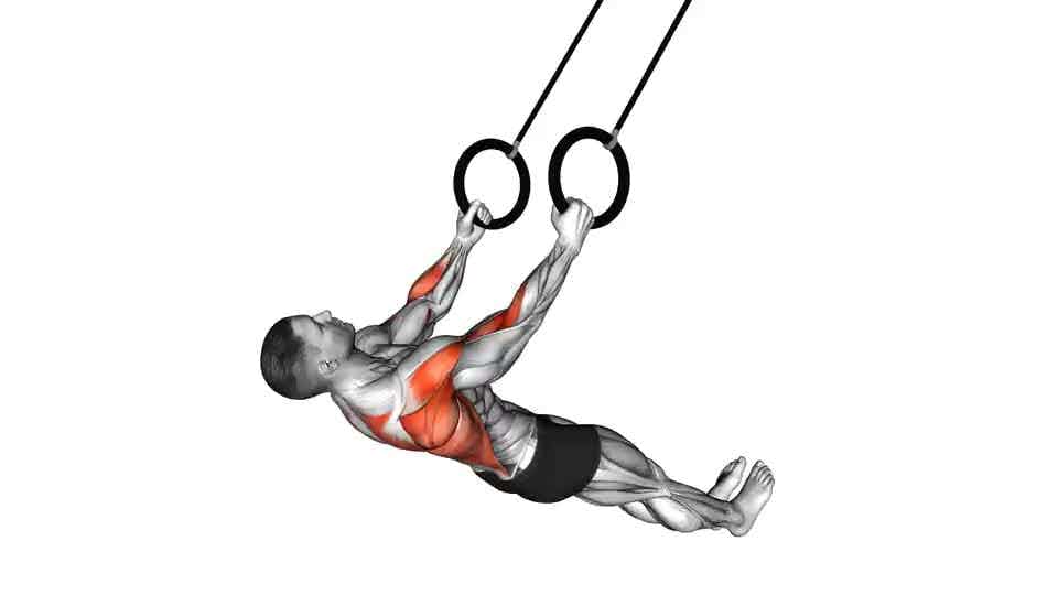 Thumbnail for the video of exercise: Suspended Row