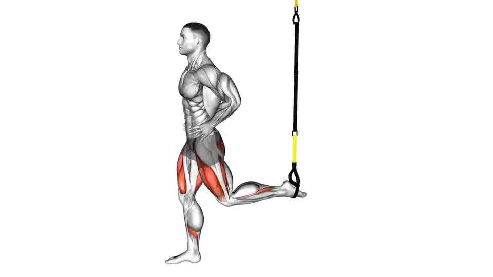 Thumbnail for the video of exercise: Suspended Split Squat