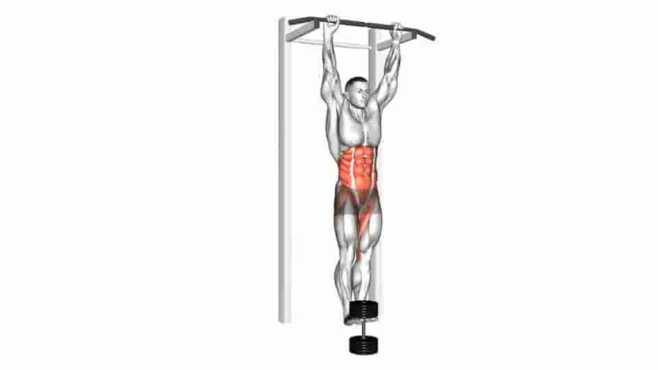 Thumbnail for the video of exercise: Weighted Hanging leg-hip raise