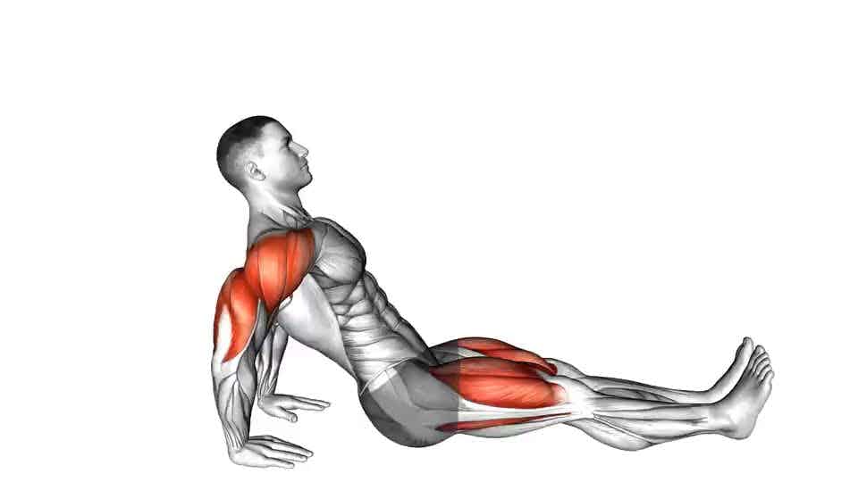 Thumbnail for the video of exercise: Reverse plank