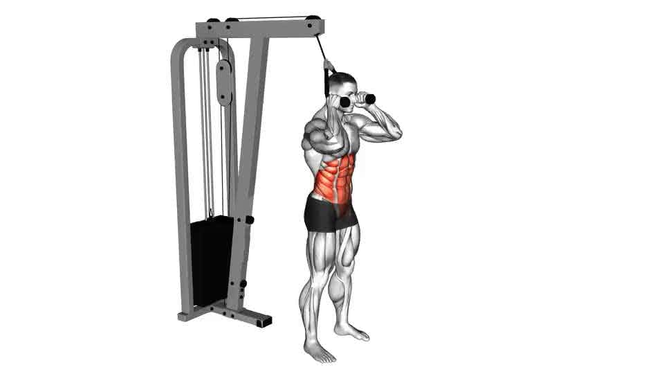 Thumbnail for the video of exercise: Cable Standing Crunch