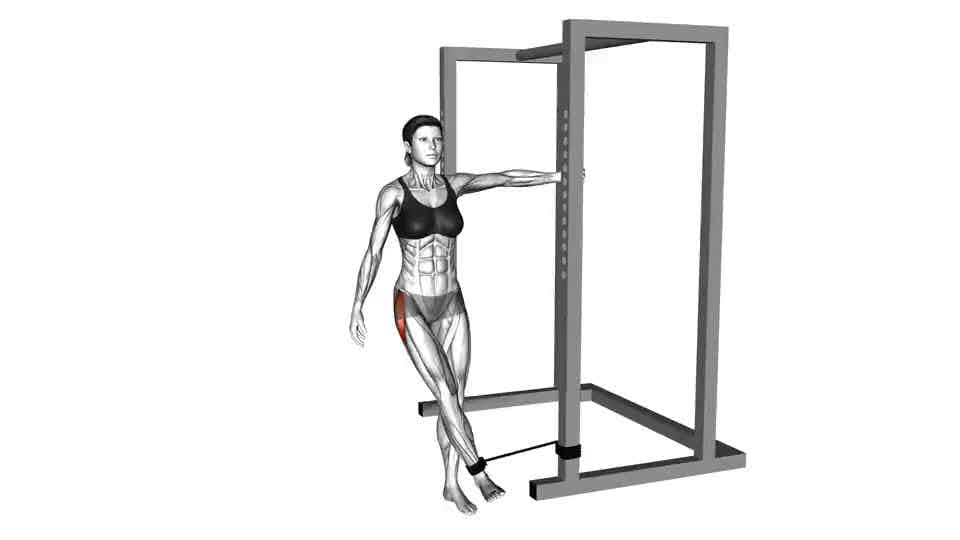 Squat Band Hip Abduction  Illustrated Exercise Guide