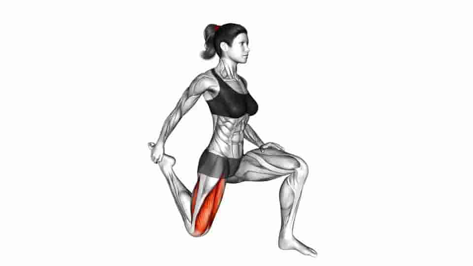 Thumbnail for the video of exercise: Quadriceps stretch