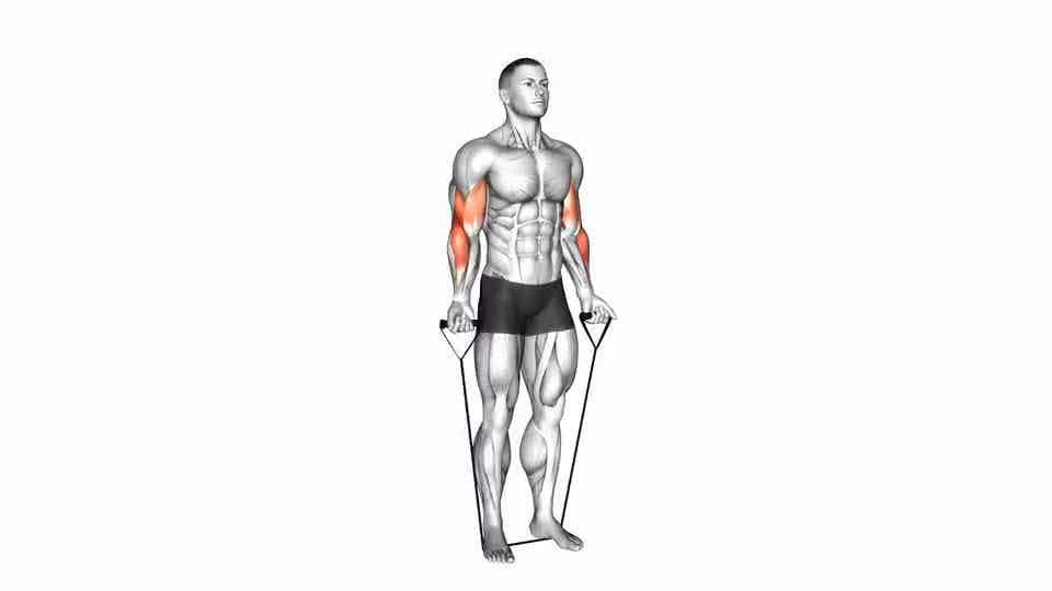 Thumbnail for the video of exercise: Band na-atụgharị biceps curl