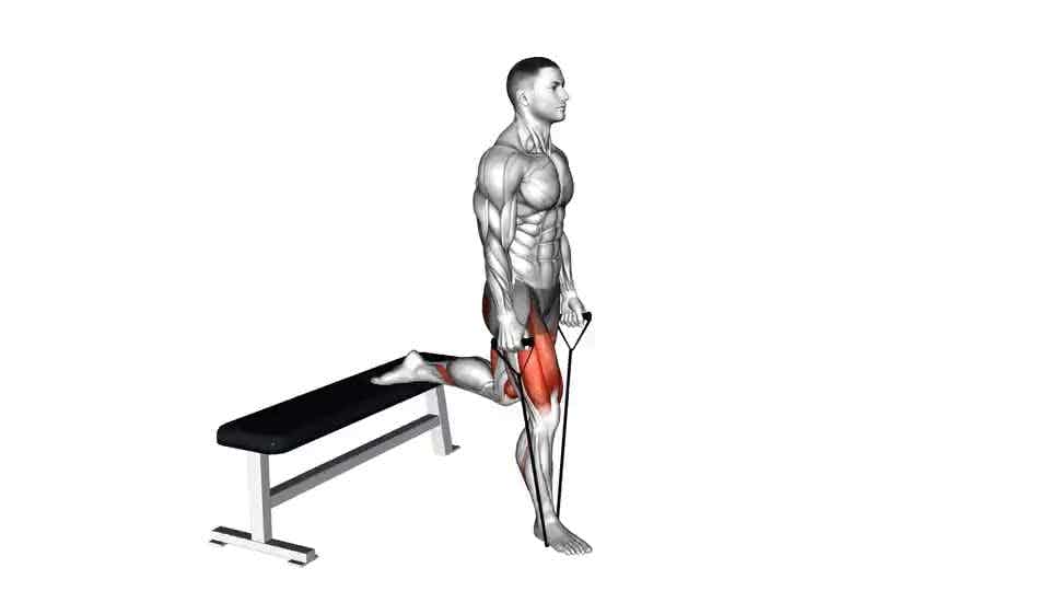 Thumbnail for the video of exercise: Band single leg split squat