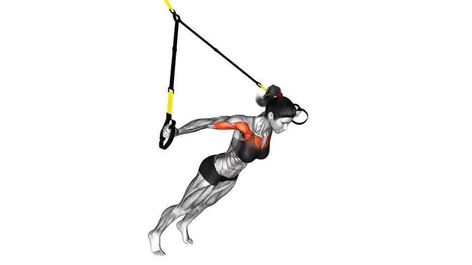 Thumbnail for the video of exercise: Suspension Fly