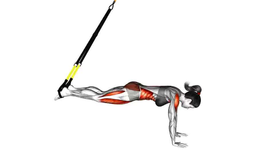 Thumbnail for the video of exercise: Suspension Mountain Climber