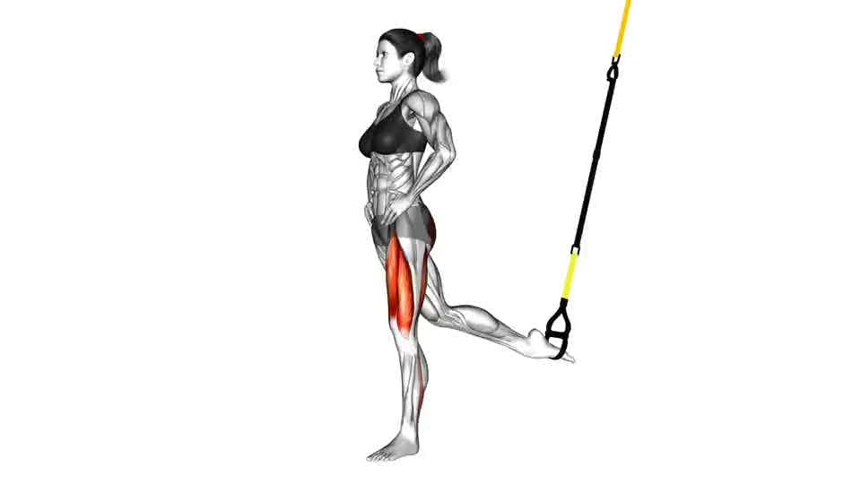 Thumbnail for the video of exercise: Suspension Single Leg Split Squat