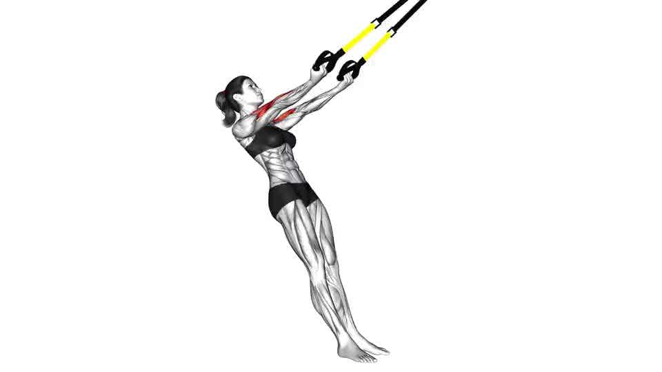 Thumbnail for the video of exercise: Suspension Arm Curl-to-Ears