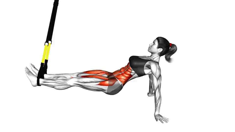 Thumbnail for the video of exercise: Suspension Supine Crunch