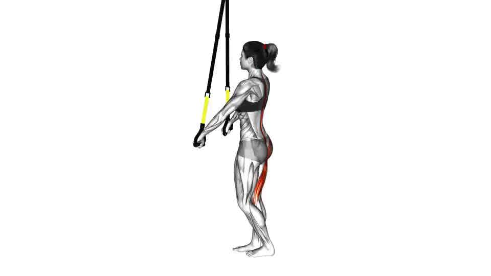 Thumbnail for the video of exercise: Suspension Single Leg Deadlift