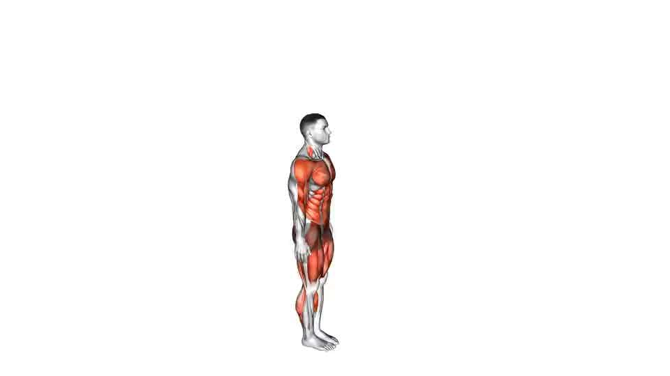 Burpees  Illustrated Exercise Guide