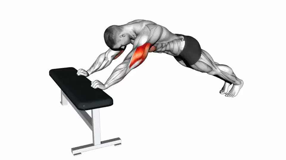 Thumbnail for the video of exercise: Triceps Press