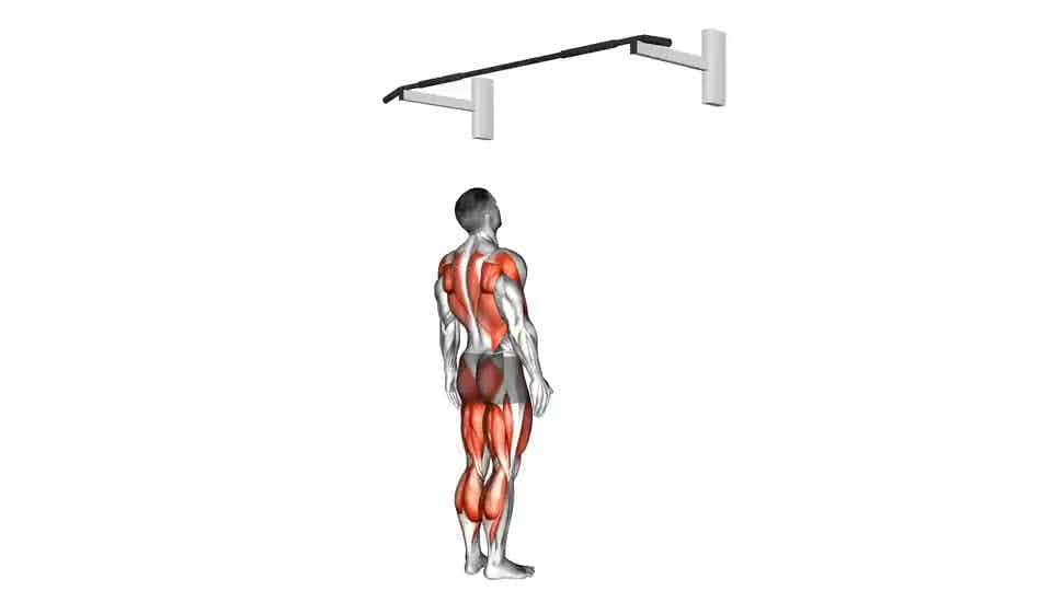 Thumbnail for the video of exercise: Jumping Pull-up