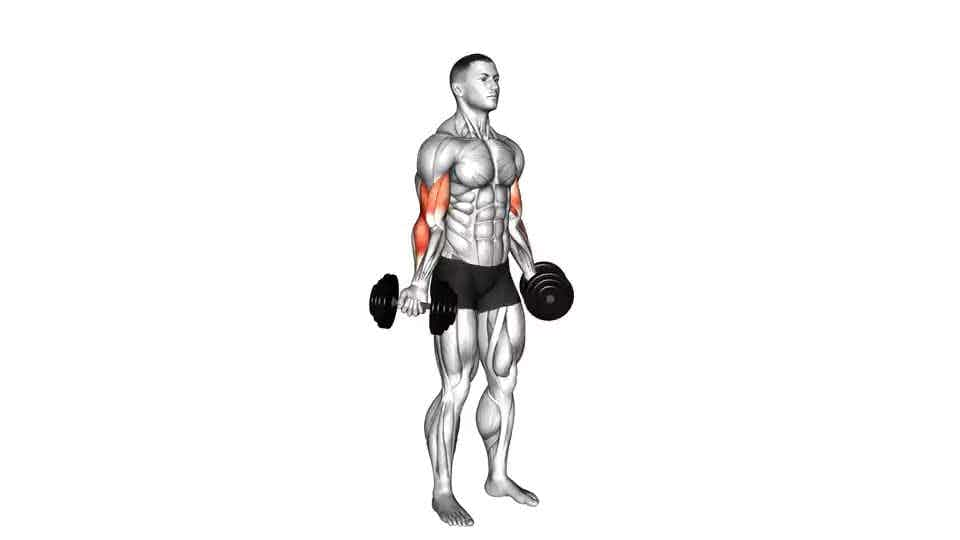 Thumbnail for the video of exercise: Kū i loko Biceps Curl