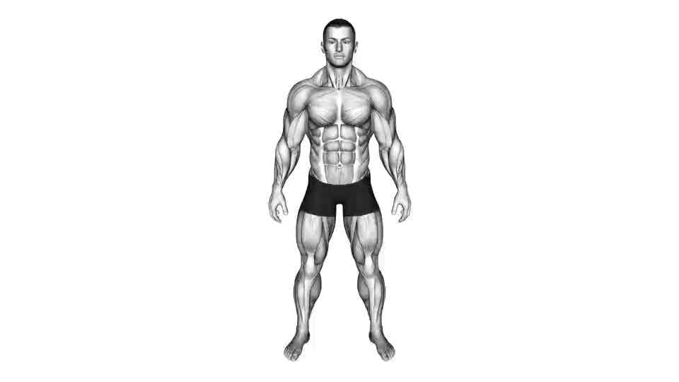 Thumbnail for the video of exercise: By MAJOR MUSCLE GROUPS Muscle body male