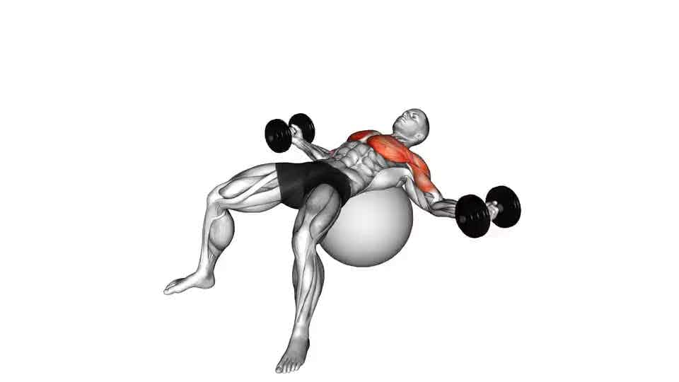 Thumbnail for the video of exercise: Dumbbell Fly on Exercise Ball