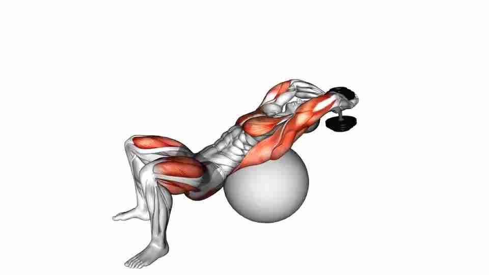 Thumbnail for the video of exercise: Dumbbell Pullover Hip Extension on Exercise Ball