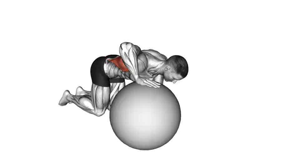 Thumbnail for the video of exercise: Exercise Ball Lat Stretch