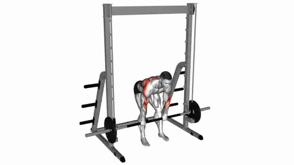 Thumbnail for the video of exercise: Smith Bent Over Row